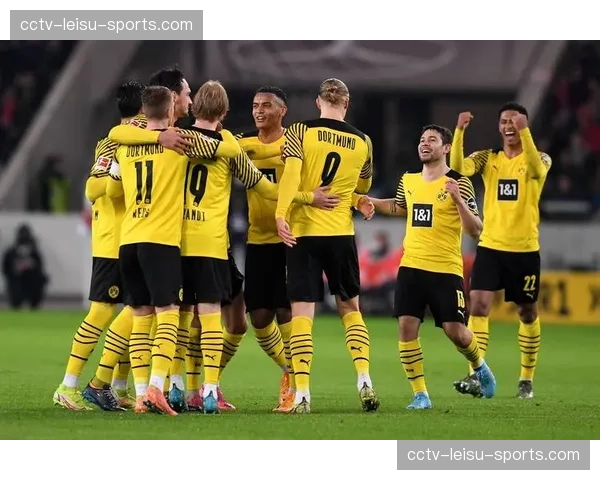 霍芬海姆2-1多特蒙德，克拉马里奇点射命中助主队取胜